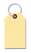 Manilla Key Tag with Ring